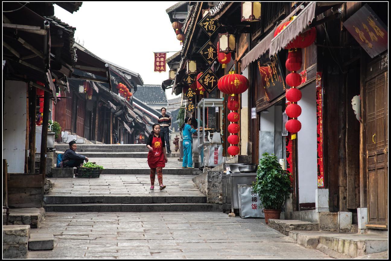 逃离大犀牛出没地